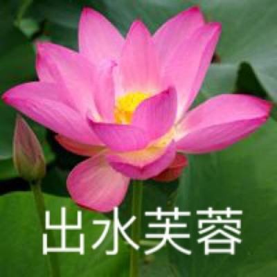 超能游戏王九游版下载